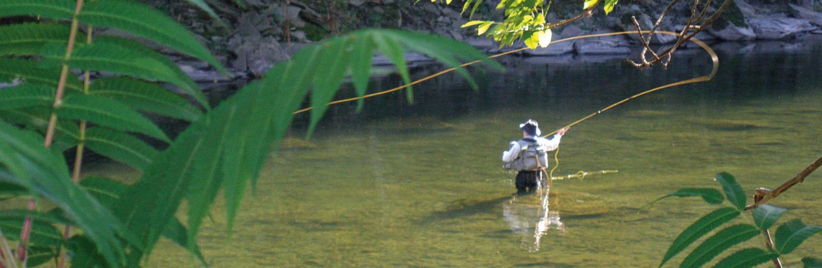An angler casting a line on the Beaverkill