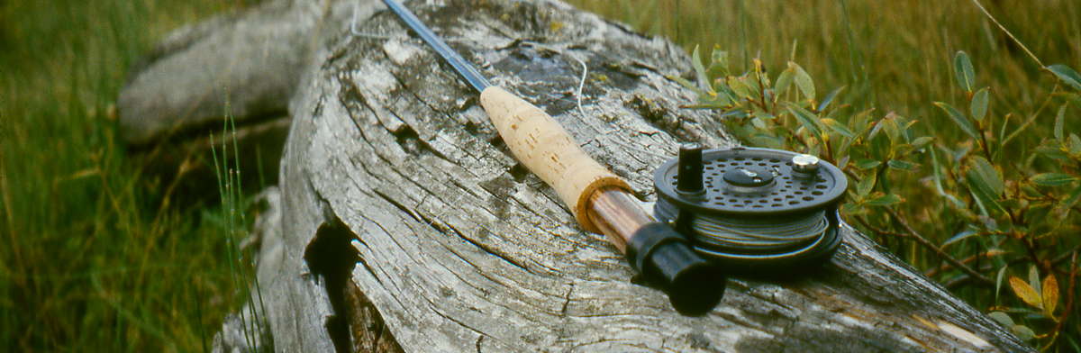 fly rod resting on a log